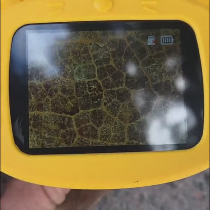 Microscopio Explorador
